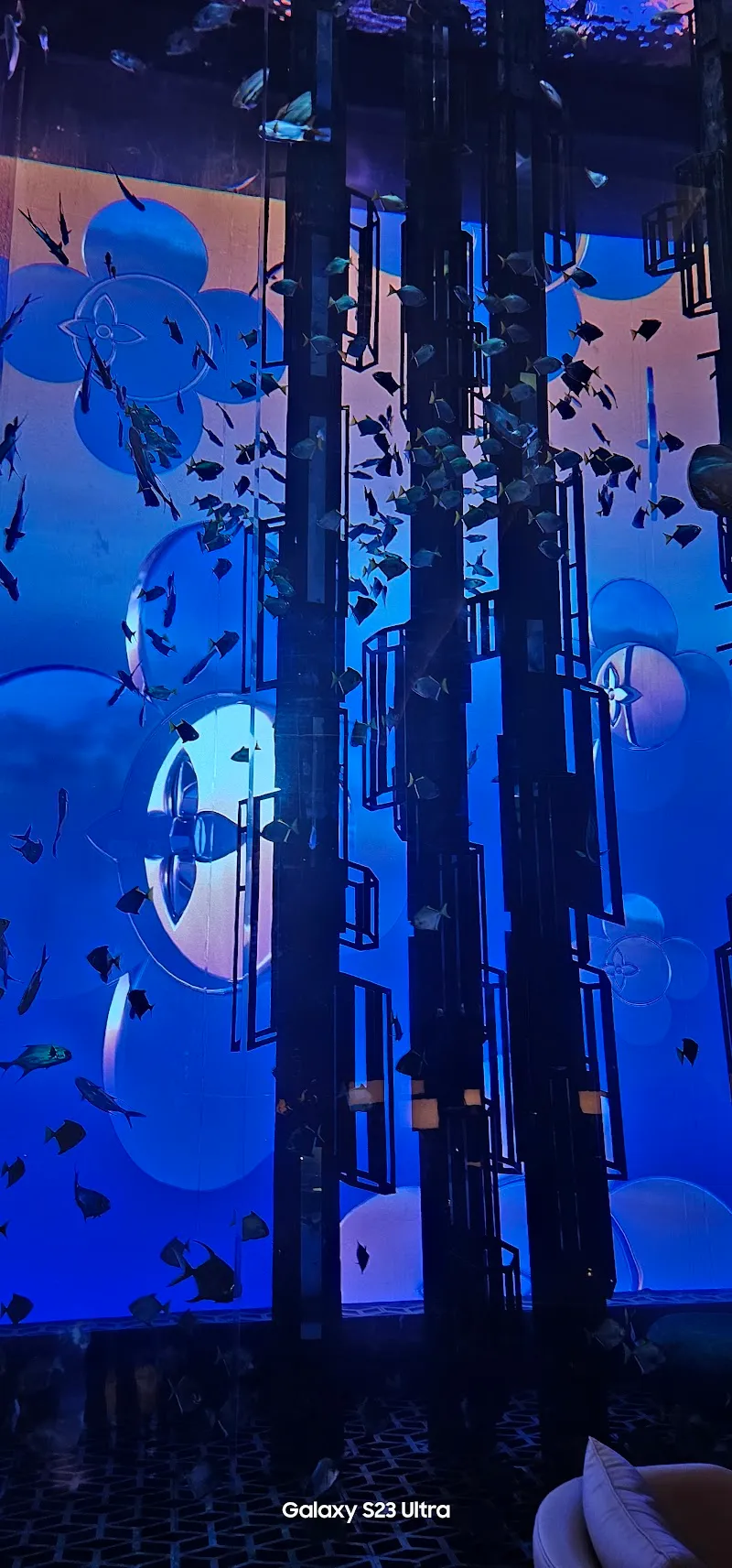 A R Exotics Marine Aquarium Sri Lanka aquarium in Mount Lavinia, WP