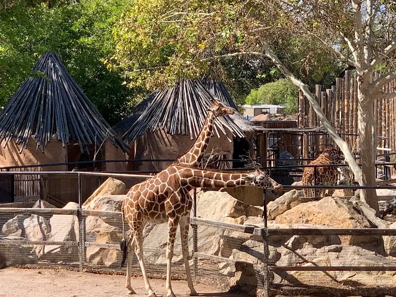 ABQ BioPark Zoo zoo in Albuquerque, NM