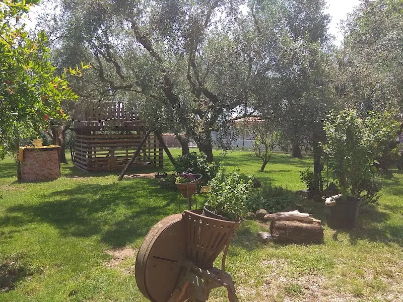 Agriturismo "All'Ombra del Gelso" farm in Pomezia, Lazio