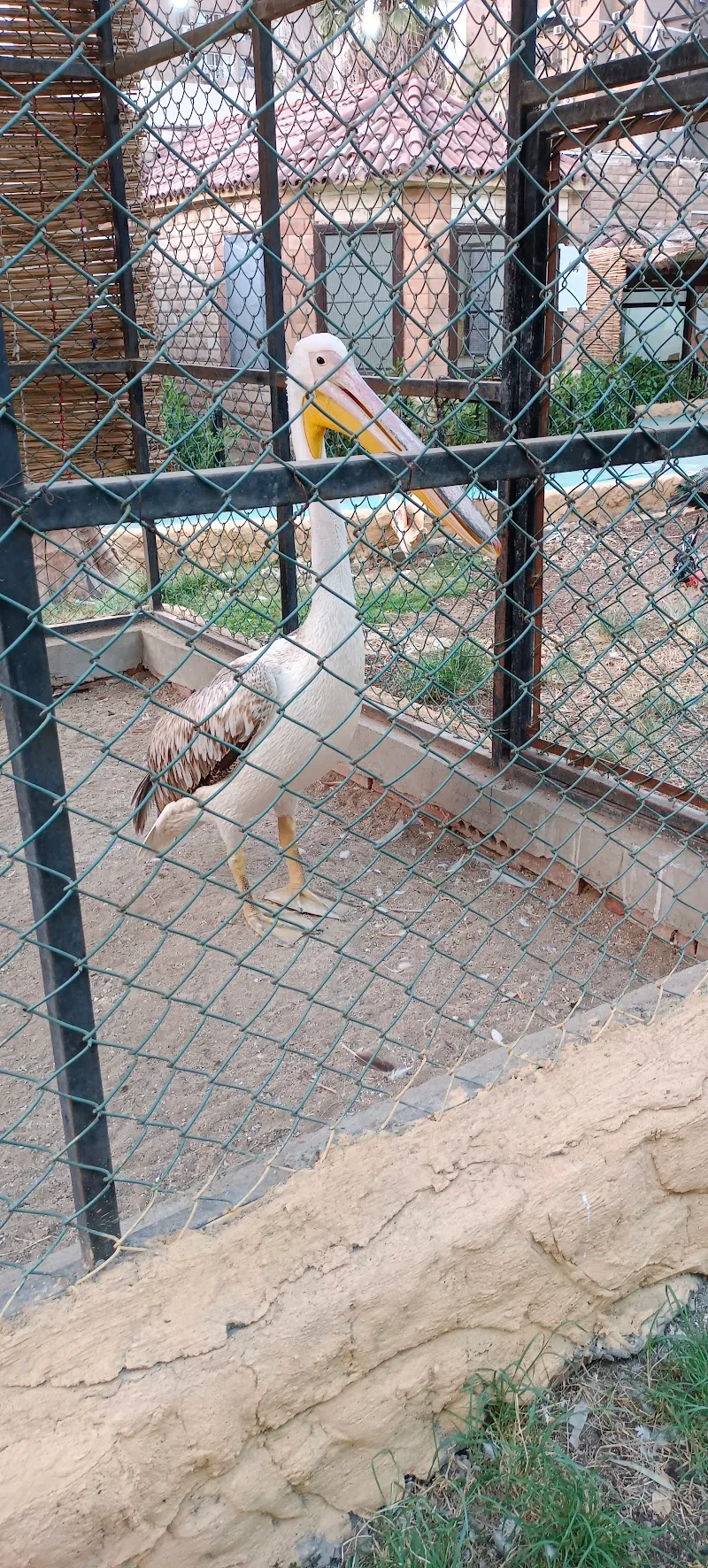 Ain Shams University Botanical Garden garden in Heliopolis, Cairo