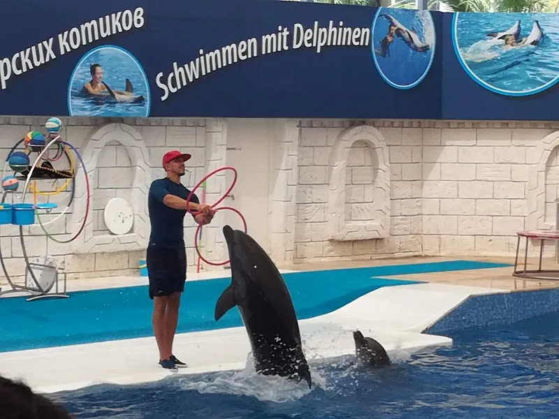 Aksu Dolphinarium aquarium in Konyaaltı, Antalya