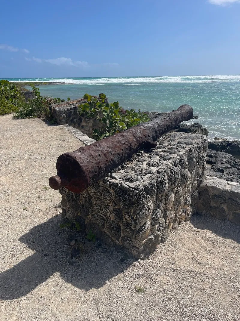 Akumal lagoon snorkeling tourist attraction in Akumal, QR