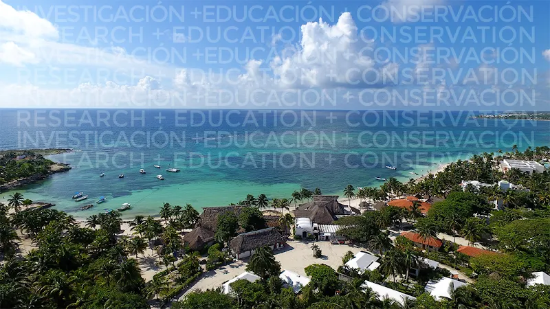 Akumal Playground at Centro playground in Akumal, QR