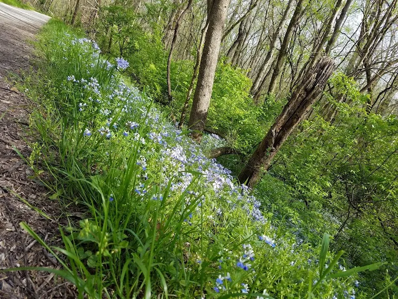 Al Foster Trail route in Wildwood, MO