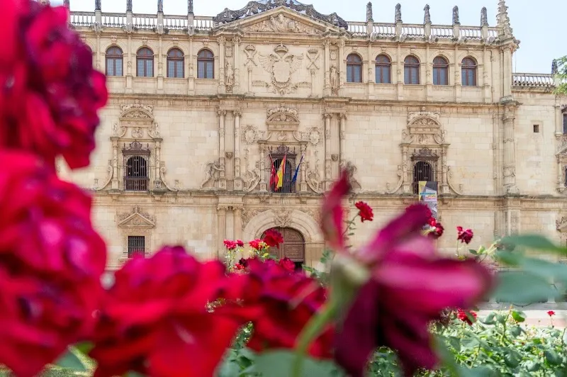 Alcalá University university in Alcalá de Henares, Madrid