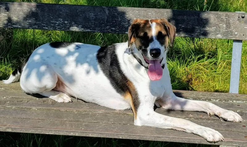 Am Schloßpark route in Starnberg, BY