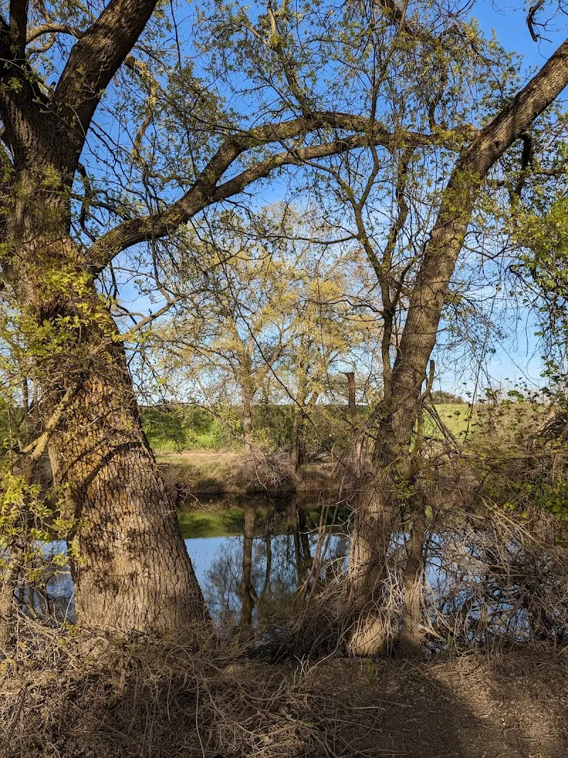 American River Parkway neighborhood in Sacramento, CA