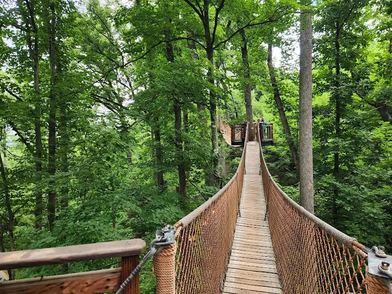 Anakeesta scenic spot in Gatlinburg, TN