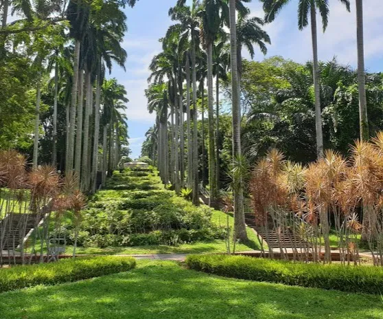 Ang Mo Kio Town Garden park in Ang Mo Kio, SG