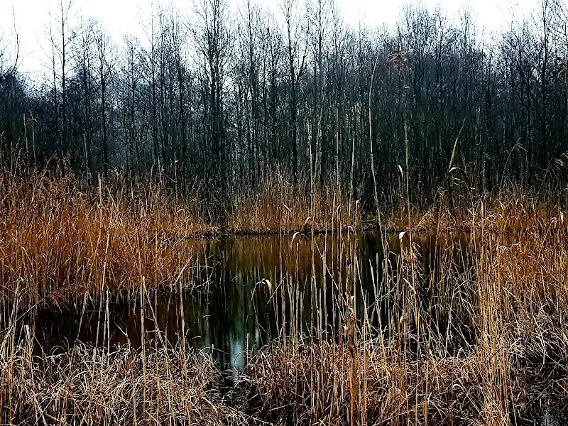 Anthering Playground at Schulstraße playground in Anthering, Salzburg
