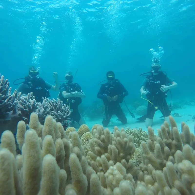 Anturan Reef Snorkeling Point water park in Lovina, Bali