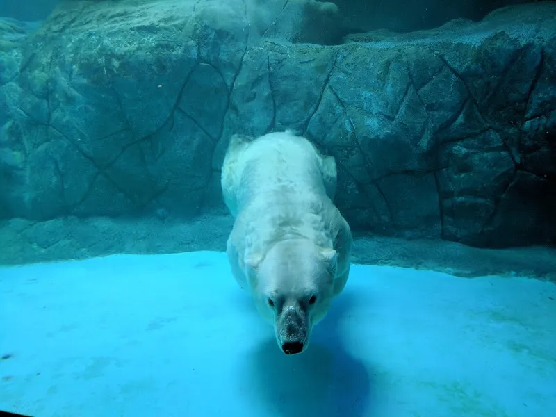 Aquário de São Paulo aquarium in Sao Paulo, SP