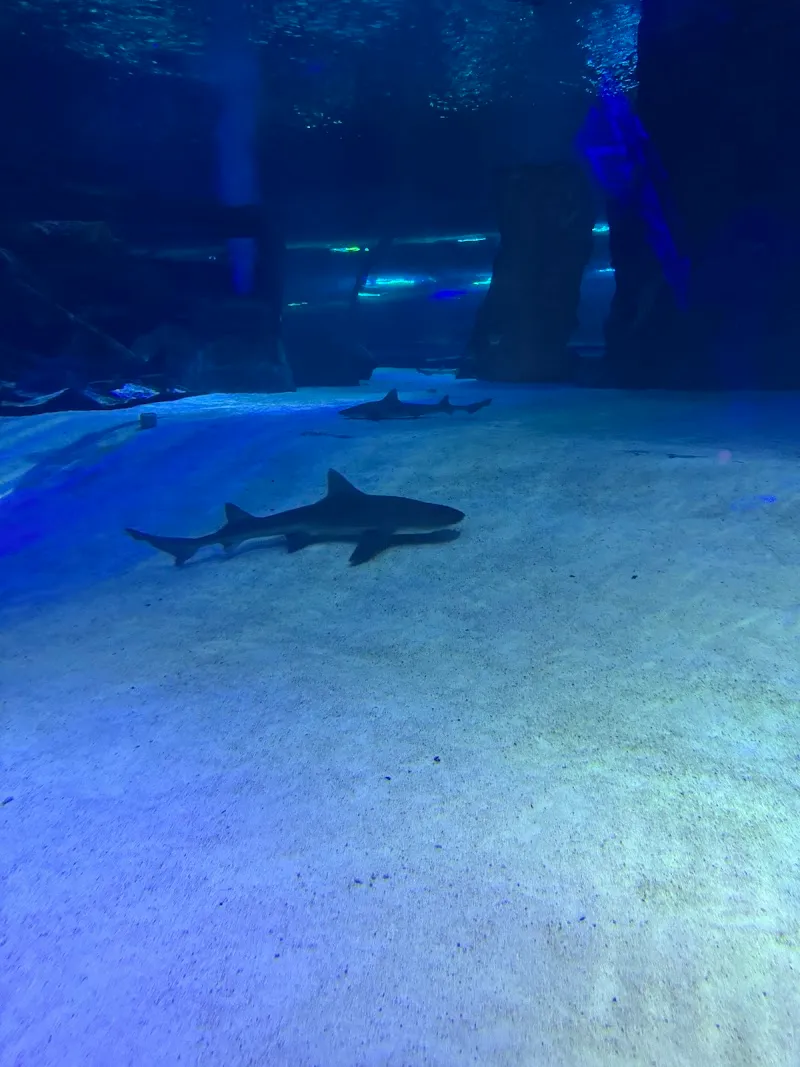 Aqua Park Antalya water park in Antalya, ANT