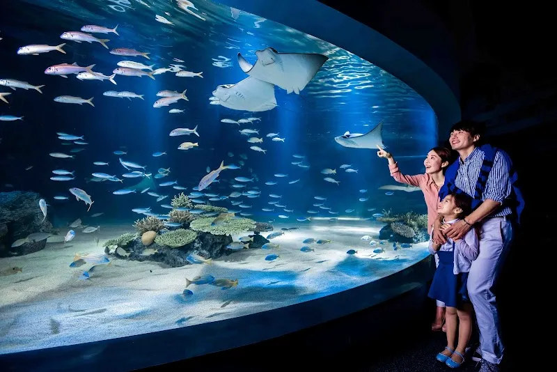 Aqua Planet 63 aquarium in Seoul, SEL