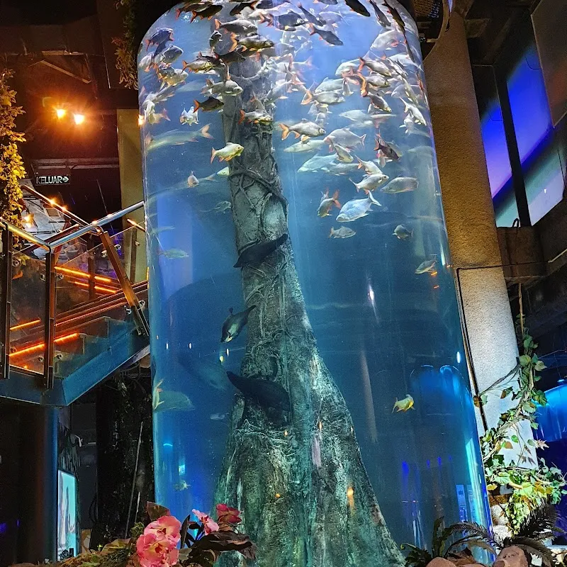 Aquaria KLCC aquarium in Kuala Lumpur, KL