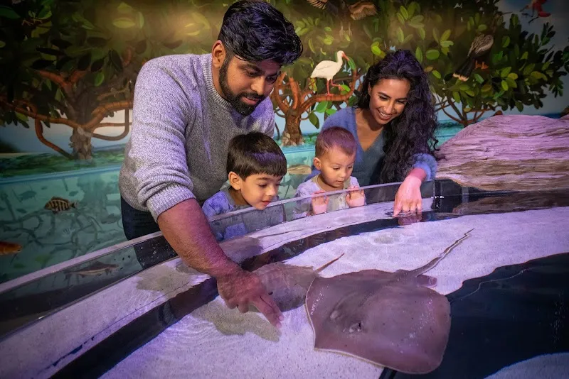 Aquarium of Niagara aquarium in Buffalo, NY