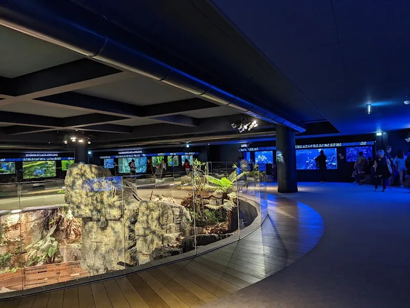 Aquarium Tropical aquarium in Vincennes, IDF