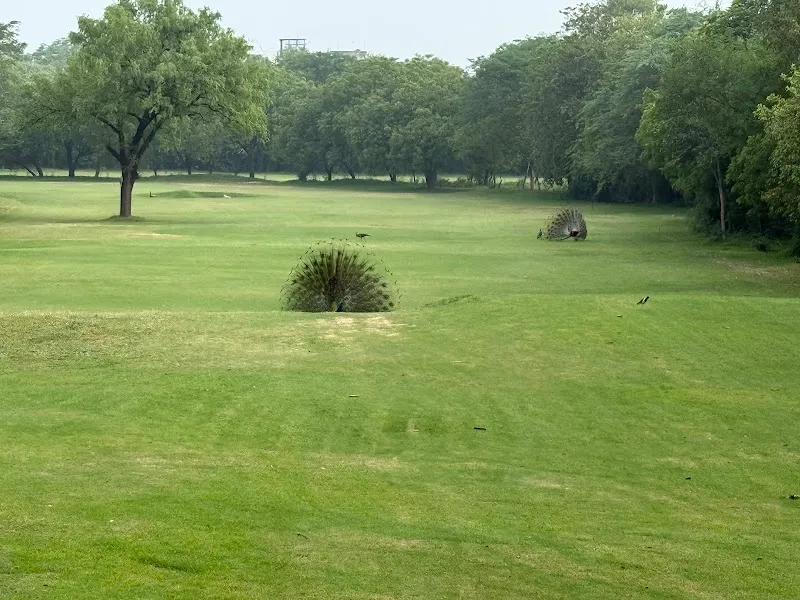 Aravali Golf Club sports club in Indirapuram, UP