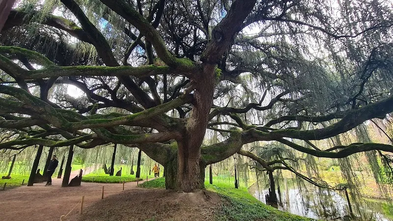 Arboretum de la Vallée aux Loups botanical garden in Val-de-Marne (Ivry-sur-Seine area), IDF