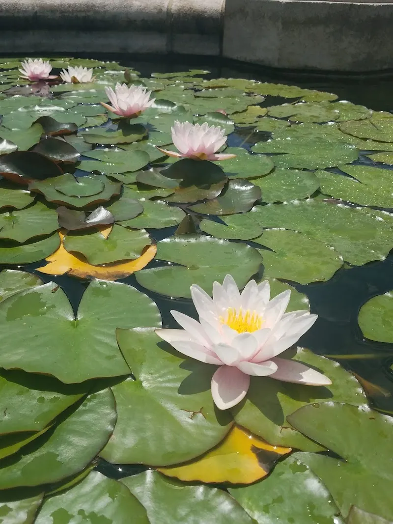 Arboretum botanical garden in Tulsa, OK