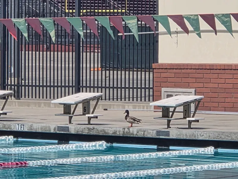 Arcadia Aquatic Center sports complex in Arcadia, CA