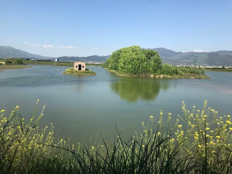 Area naturale protetta Stagni di Focognano city park in Campi Bisenzio, Tuscany