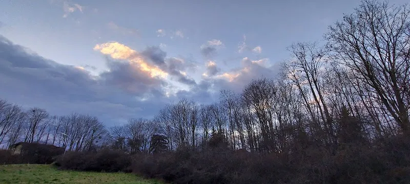 Aspern Quartierpark playground in Aspern, VIE