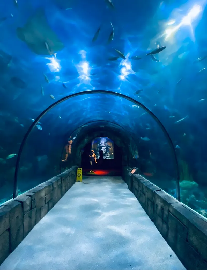 Audubon Aquarium aquarium in New Orleans, LA