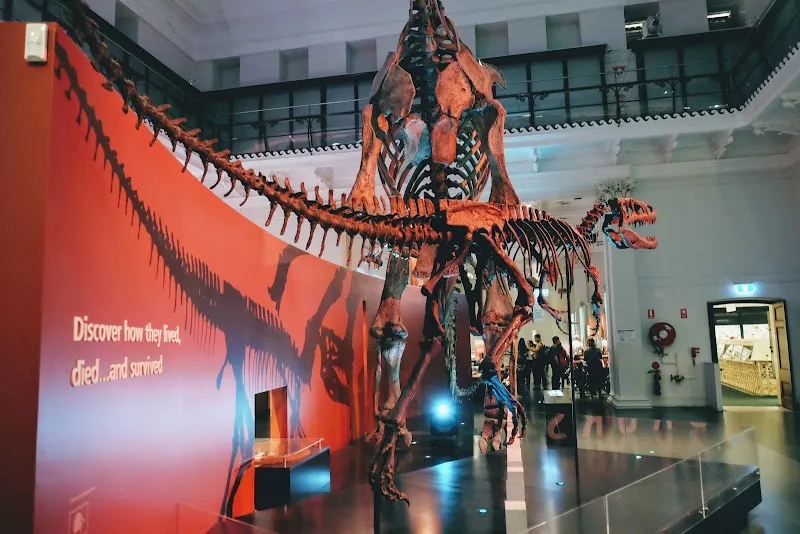 Australian Museum museum in Sydney, NSW