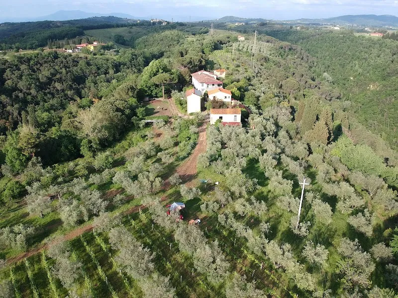 Azienda Agricola "Il Cavallone" Agriturismo farmstay in Montelupo Fiorentino, Tuscany