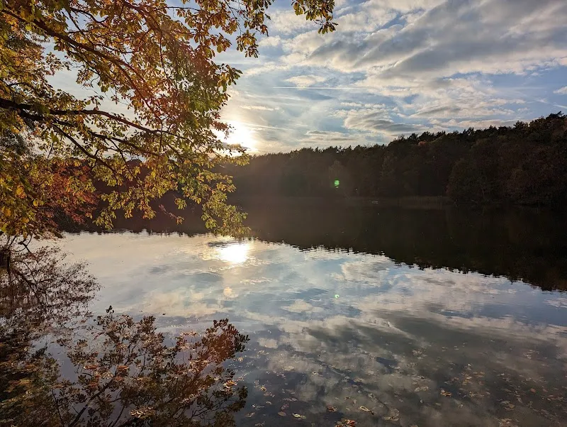 Badestelle Krumme Lanke sports activity location in Lichterfelde, BE