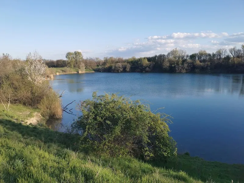 Badeteich Süßenbrunn dog park in Floridsdorf, VIE