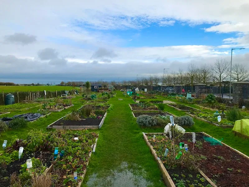 Baldoyle Racecourse Community Garden garden in Templeogue, D