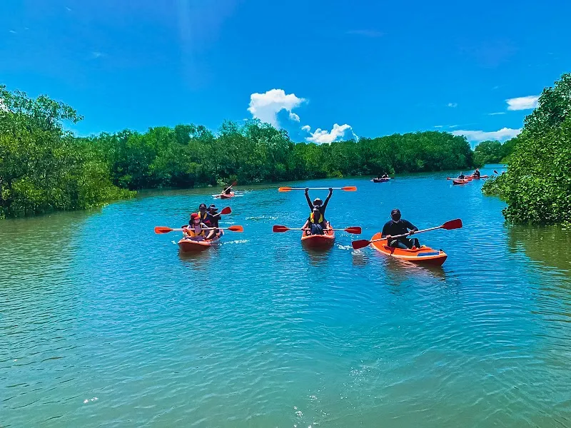 Bali Mangrove Forest Tour tour agency in Sanur, Bali