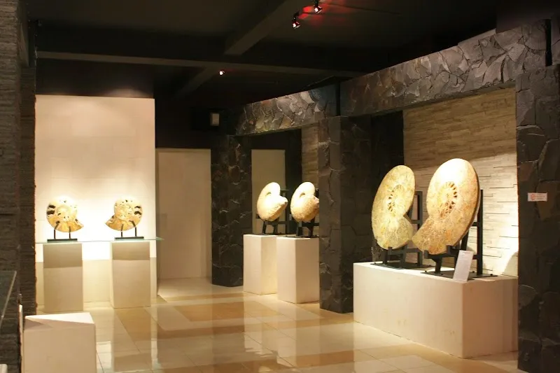 Bali Shell Museum art museum in Kuta, Bali