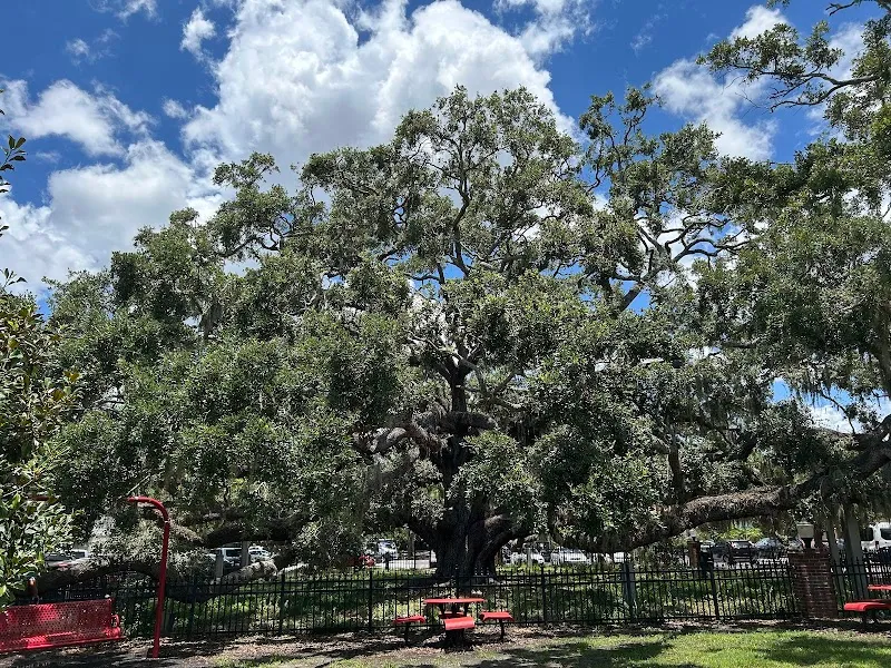 Baranoff Park park in Safety Harbor, FL