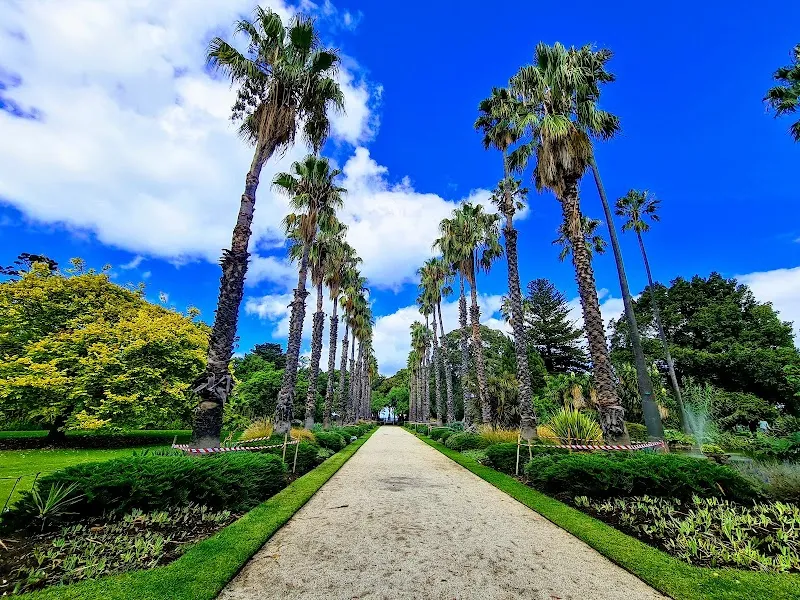 Bayside Botanic Gardens garden in Bayside, VIC