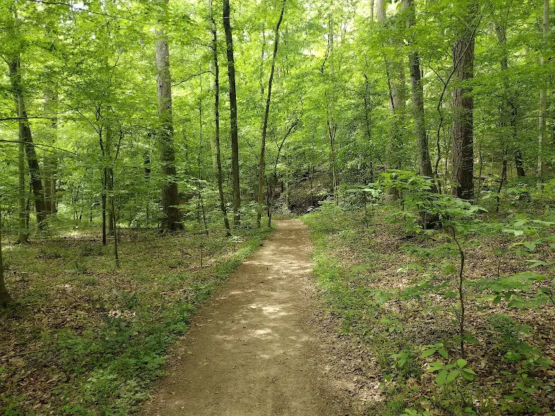 Beaver Lake Trail hiking area in Petersburg, VA