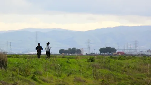 Bedwell Bayfront Park park in Menlo Park, CA