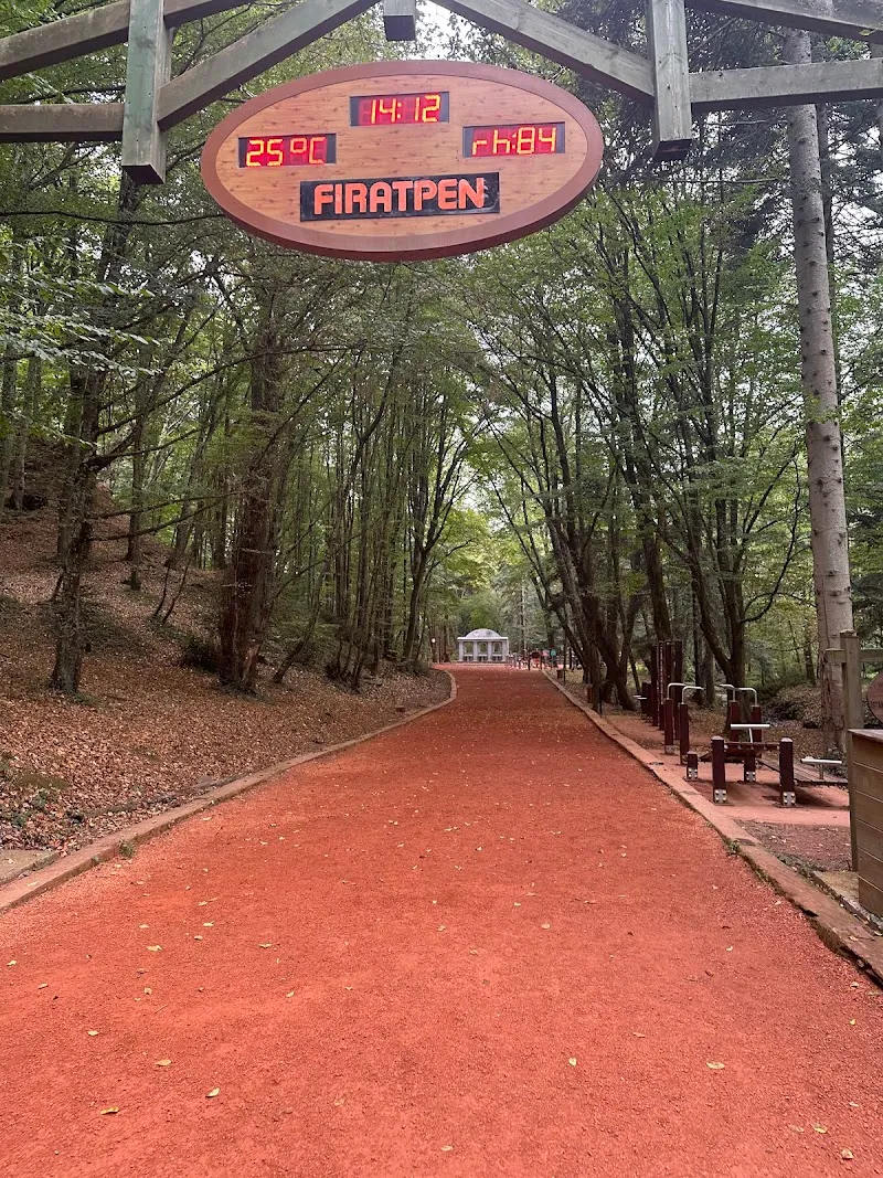 Belgrad ormanı hiking area in Beykoz, Istanbul