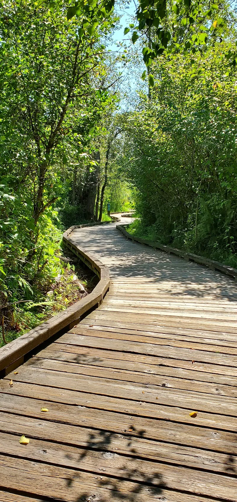 Bellefields Trailhead Parking hiking area in Redmond, WA