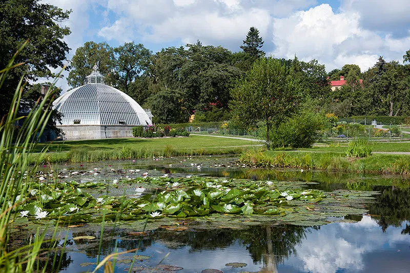 Bergianska trädgården botanical garden in Solna, Stockholm