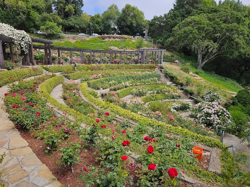 Berkeley Rose Garden garden in Berkeley, CA