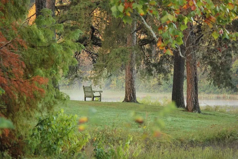 Bernheim Forest and Arboretum hiking area in Shepherdsville, KY