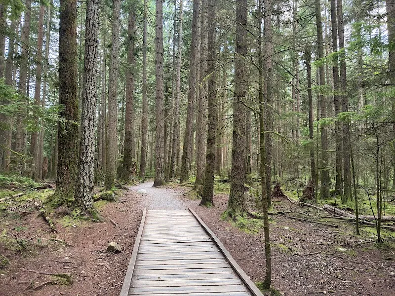 Bert Flinn Park park in Port Moody, BC