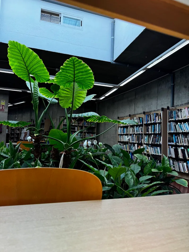Biblioteca Municipal de Paterna library in Paterna, V
