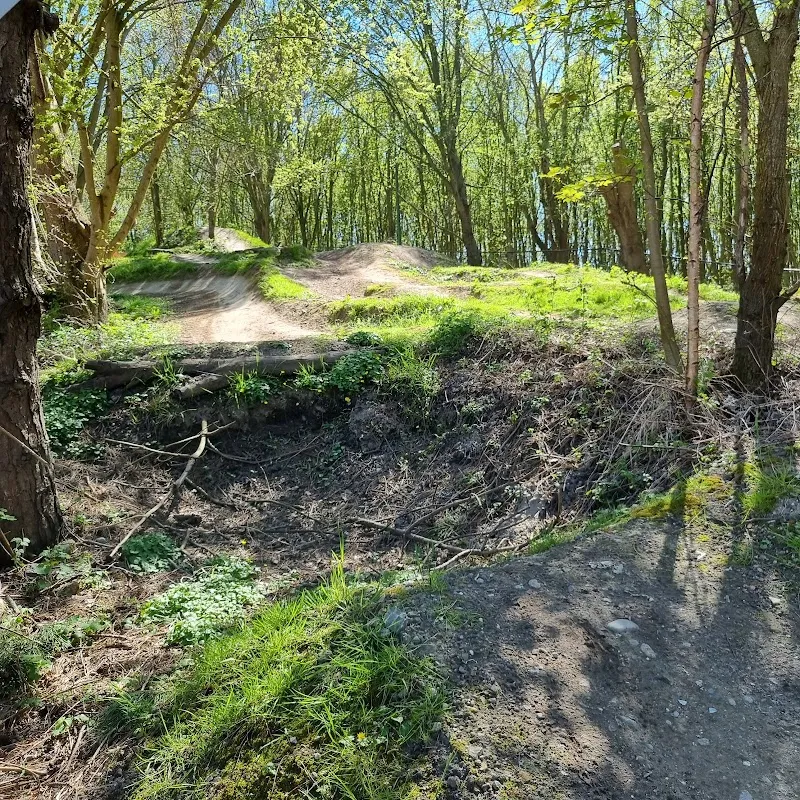 Bikepark Spaarnwoude Park sports activity location in Marken, NH