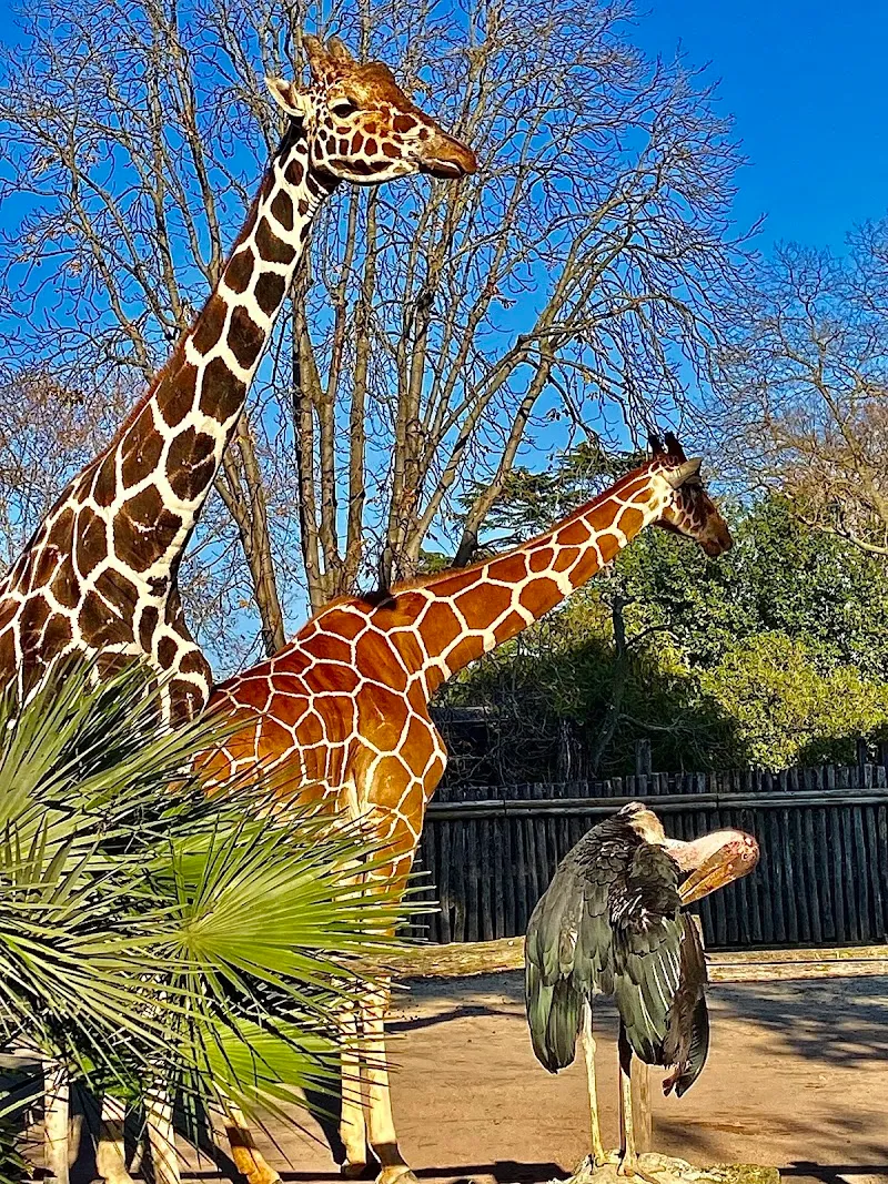 Bioparco di Roma zoo in Rome, LZ