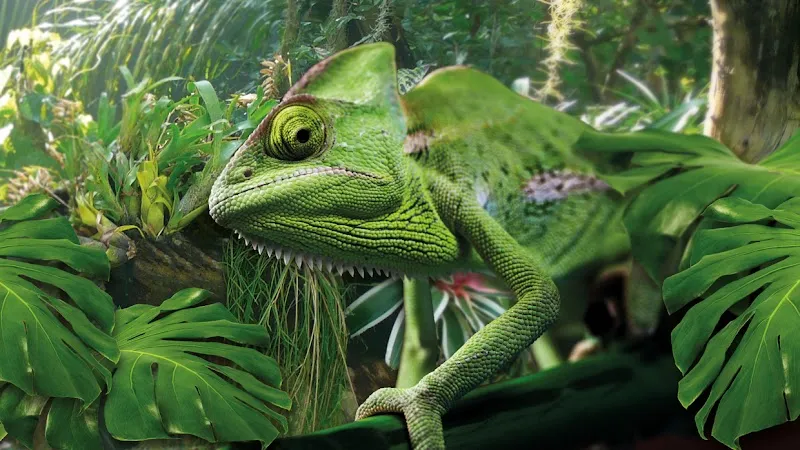 Biosphäre Potsdam botanical garden in Potsdam, BB