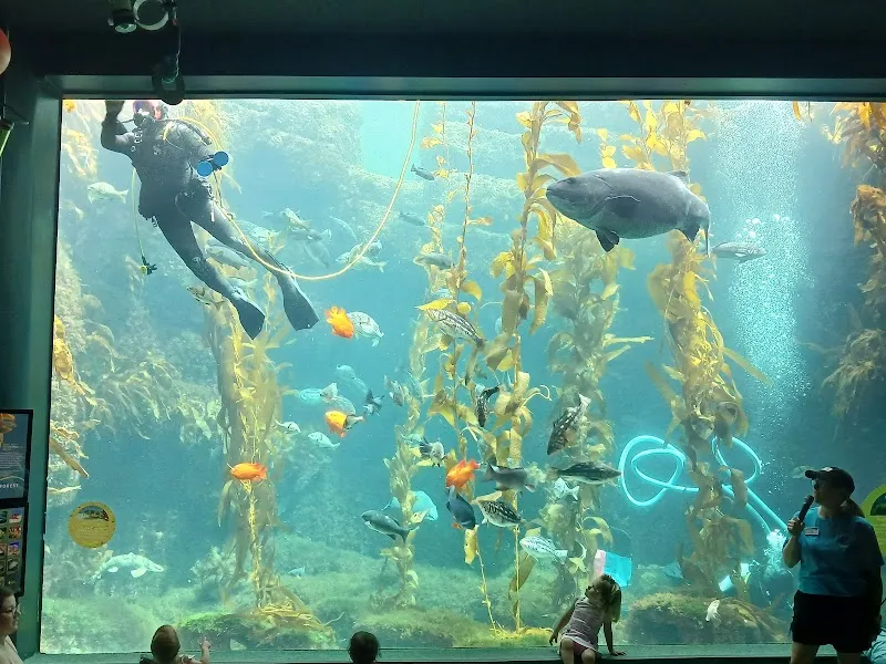 Birch Aquarium aquarium in La Jolla, CA
